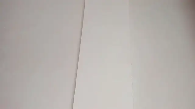 LiaFlowers online show from February 23, 2025, 7:22 am