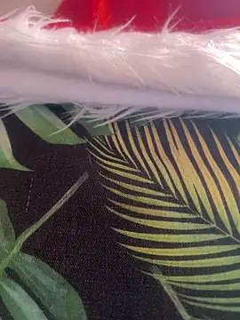 alexatransgata online show from December 3, 2025, 3:55 pm