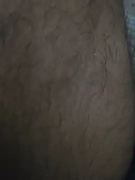 Keshuloveyou online show from December 21, 2024, 9:01 am