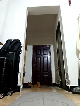 DDYY12341 online show from November 18, 2025, 11:57 am