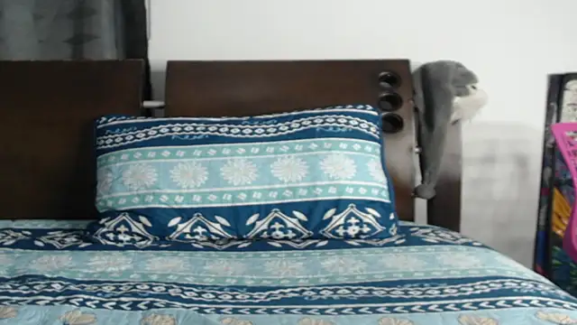 Snapshot of Tobicutee chatting on February 5, 2026, 4:19 am Tobicutee online show from February 5, 2026, 4:19 am