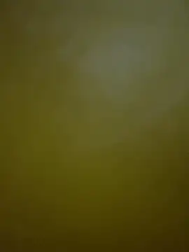 HeviZ online show from January 21, 2025, 8:21 pm