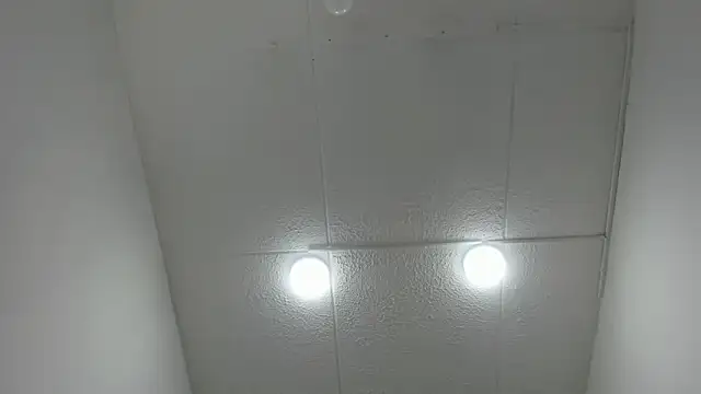  Danaa online show from December 19, 2025, 11:45 am