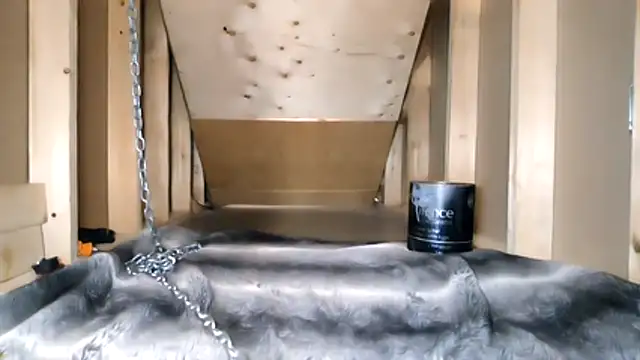 cbtbetaloser online show from February 17, 2026, 5:16 am