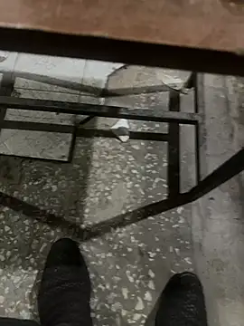 Snapshot of homidor chatting on January 11, 2025, 6:44 pm homidor online show from January 11, 2025, 6:44 pm