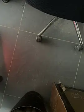 Snapshot of homidor chatting on February 5, 2025, 1:54 pm homidor online show from February 5, 2025, 1:54 pm