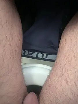 Snapshot of homidor chatting on November 12, 2025, 9:13 am homidor online show from November 12, 2025, 9:13 am