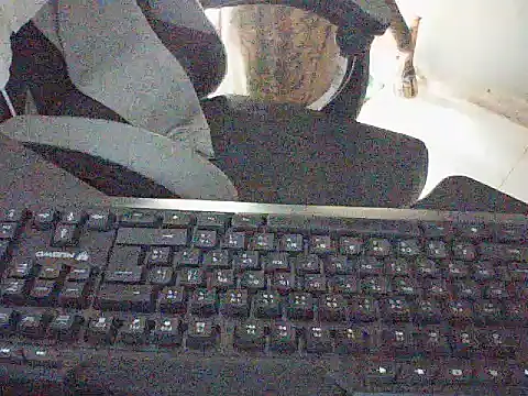 Snapshot of DZ1996 chatting on November 16, 2025, 10:31 am DZ1996 online show from November 16, 2025, 10:31 am