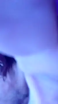 ronny51 online show from December 22, 2024, 6:28 am