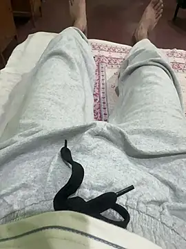 Big dick dog online show from July 3, 2026, 7:59 am