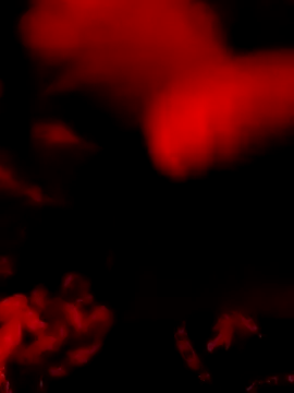 DaniSexFlow online show from March 31, 2026, 8:05 am