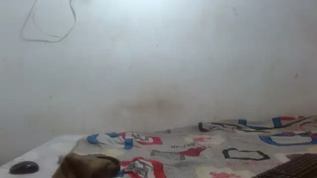 damian bottom bigcock online show from February 16, 2026, 8:40 pm