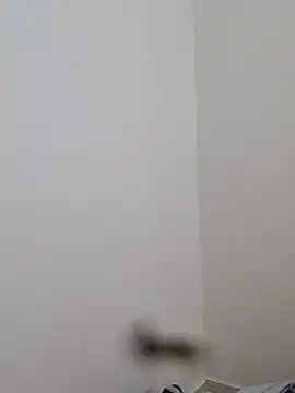 BriannaVincent online show from October 31, 2025, 4:20 am