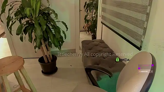  littlecherryy  online show from December 21, 2025, 2:03 am
