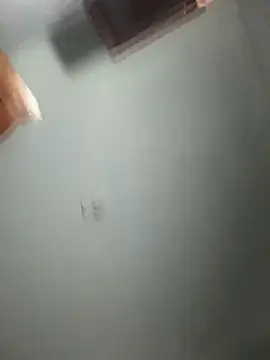 doll celeste20 online show from September 26, 2025, 9:54 pm