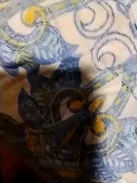 minitranca online show from February 7, 2026, 8:17 pm