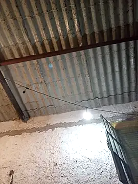 strip 1212 online show from October 28, 2025, 12:44 am