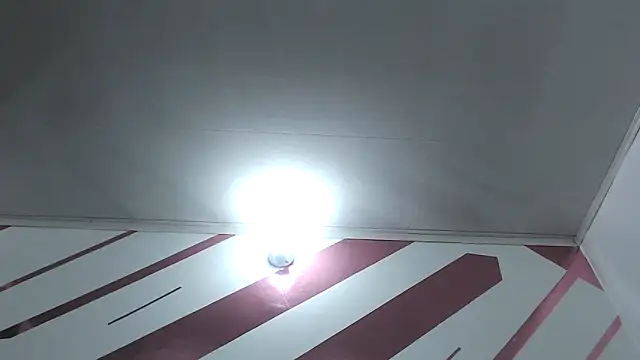 Kitten Hot  online show from December 18, 2025, 10:30 am