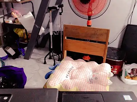 Asian girl19 online show from March 8, 2026, 2:42 pm