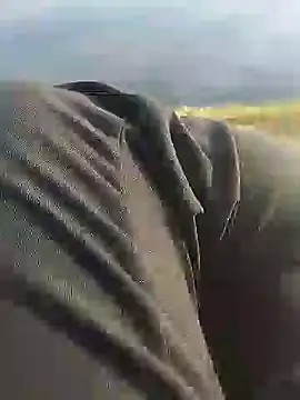 hexsmith96 online show from December 18, 2024, 2:17 pm