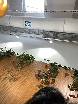 Tisha Busty online show from March 20, 2025, 12:22 pm