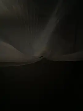 JasminePrice online show from July 28, 2026, 4:53 am