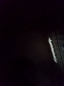 JasminePrice online show from November 24, 2025, 4:01 am