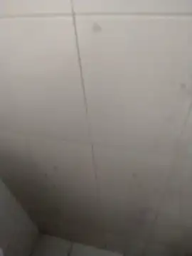 rohitlov150 online show from September 18, 2025, 2:53 pm