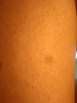 rohitlov150 online show from February 20, 2025, 1:46 am