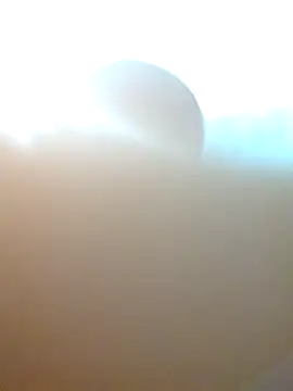 Snapshot of Jair_BM chatting on March 17, 2025, 4:29 am Jair BM online show from March 17, 2025, 4:29 am