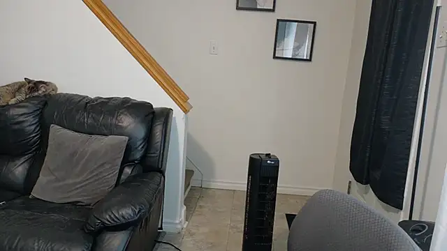 Thekodyy online show from November 14, 2025, 1:48 pm