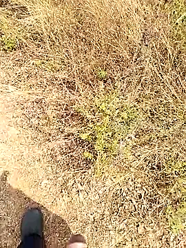 Mrveda66 online show from February 23, 2026, 6:14 am