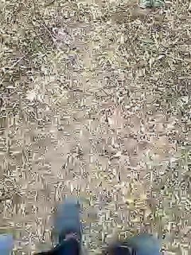 Mrveda66 online show from February 10, 2026, 11:09 am