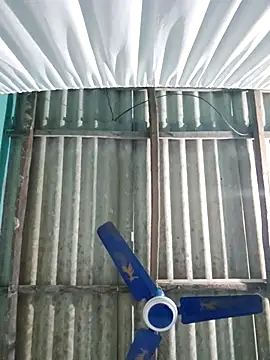 hotbaby 5 online show from November 26, 2025, 1:11 pm