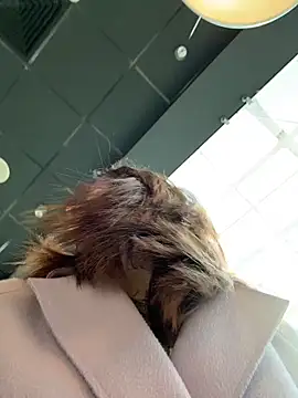 Dina Tease online show from March 21, 2026, 10:31 am