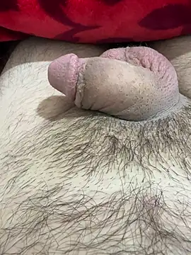 Snapshot of TheArabicGuyx chatting on February 25, 2026, 7:47 pm TheArabicGuyx online show from February 25, 2026, 7:47 pm