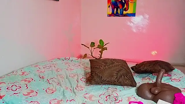 Luci And Sofi online show from April 12, 2026, 5:27 pm