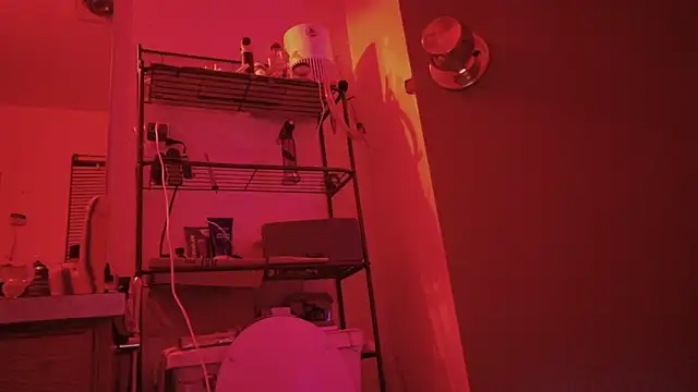 Snapshot of SlammyDjr chatting on March 3, 2026, 11:28 am SlammyDjr online show from March 3, 2026, 11:28 am