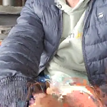 Lumpi1988A online show from February 19, 2026, 11:40 am