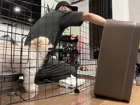 kensnb online show from October 10, 2025, 8:48 am