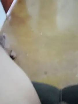 Negrocomedo online show from September 14, 2025, 2:06 pm