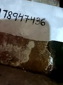 riteshika online show from April 24, 2026, 5:31 am