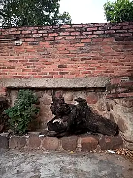 sweet outdoor charm online show from November 27, 2025, 8:20 pm