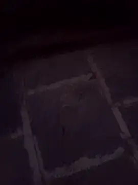 Andrapradesh online show from February 20, 2026, 1:02 pm