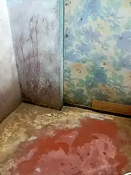 Andrapradesh online show from March 7, 2026, 4:56 pm