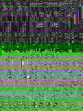 scoatum online show from April 24, 2026, 3:41 am