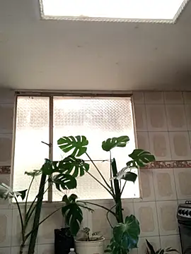 Snapshot of Miss_oliviaa chatting on November 11, 2025, 1:06 pm Miss oliviaa online show from November 11, 2025, 1:06 pm