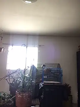 Snapshot of Miss_oliviaa chatting on October 22, 2025, 2:05 pm Miss oliviaa online show from October 22, 2025, 2:05 pm