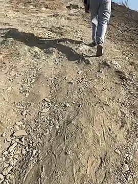 Snapshot of geroAguilar chatting on February 28, 2026, 12:49 pm geroAguilar online show from February 28, 2026, 12:49 pm