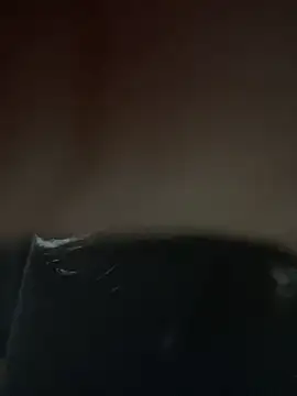 aylanaa online show from April 9, 2026, 4:03 am